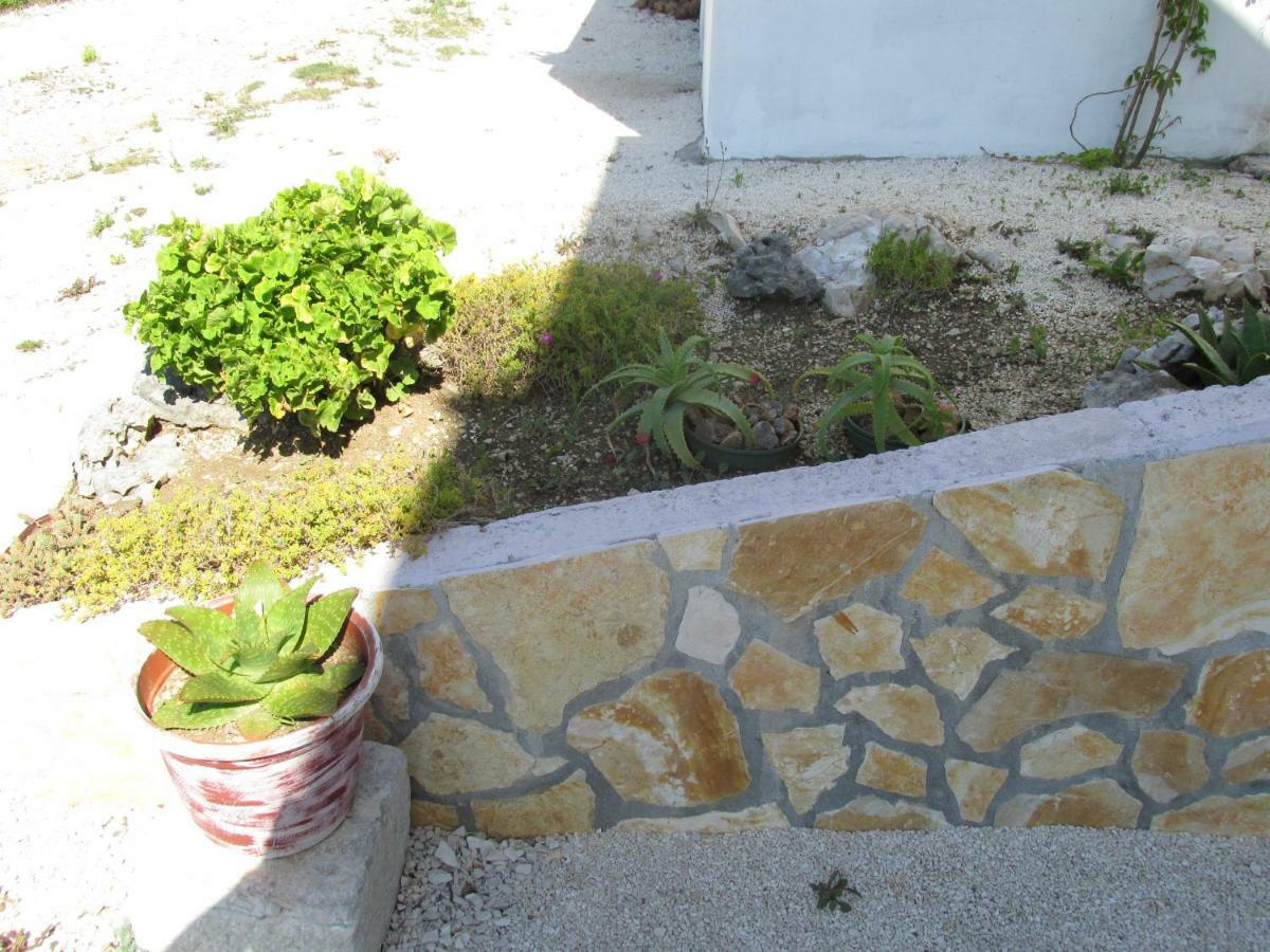 Sunny Apartman Pajdek Sevid Bagian luar foto